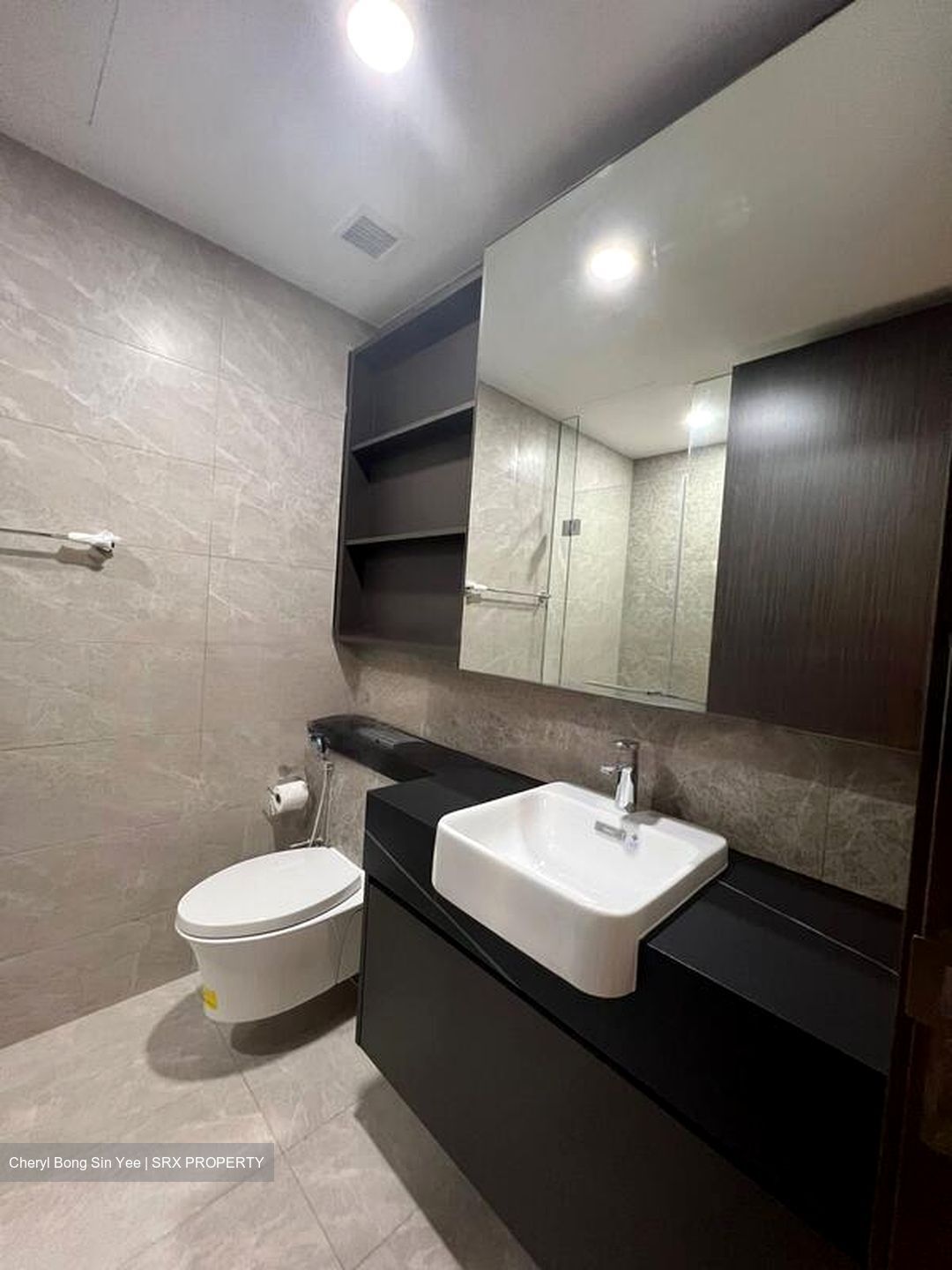 Parc Clematis (D5), Apartment #458512101